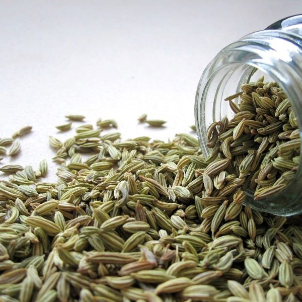 fennel, seeds, spice, spill, jar, glass, cooking, fennel, fennel, fennel, fennel, fennel