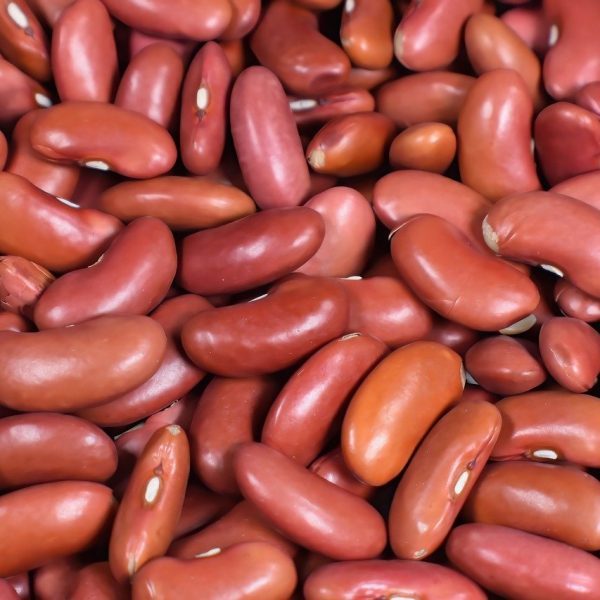 kidney beans, red beans, beans, food, vegetables, uncooked, home cooking, comfort food, meal, kidney beans, kidney beans, kidney beans, kidney beans, kidney beans, red beans, beans, beans