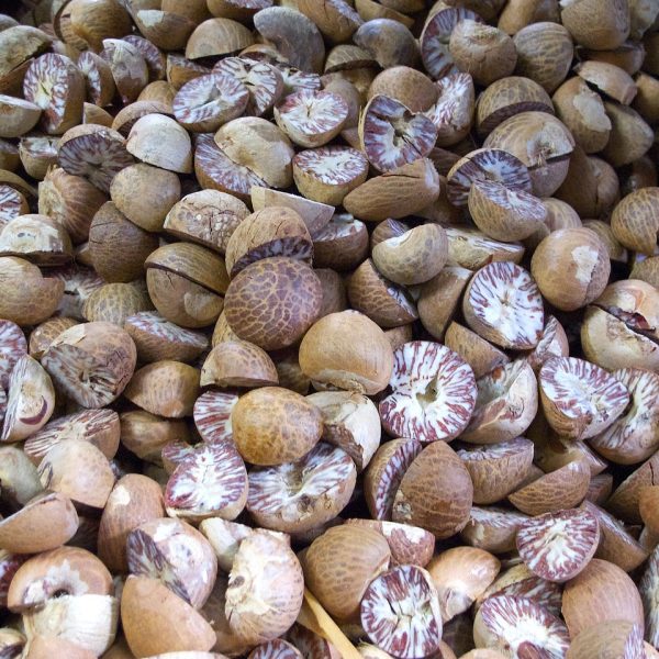 nutmeg, myristica, spice, fruit, nutmeg, nutmeg, nutmeg, nutmeg, nutmeg