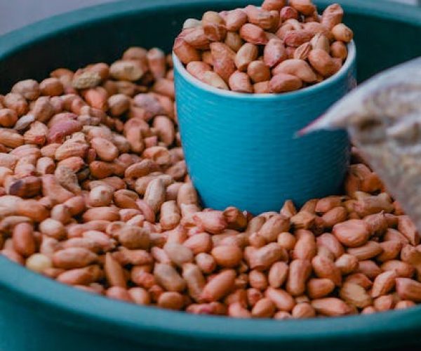 A vibrant display of organic peanuts in a blue bowl, emphasizing natural nutrition.