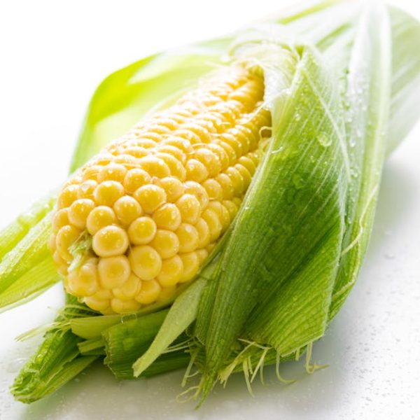 maize